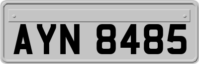 AYN8485
