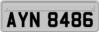 AYN8486