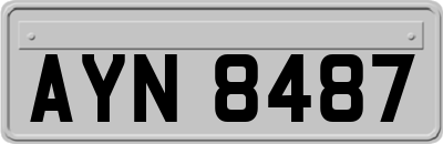 AYN8487