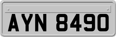 AYN8490