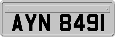 AYN8491