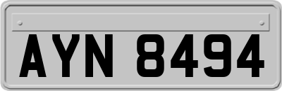 AYN8494