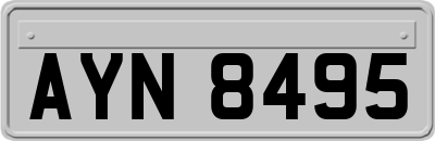 AYN8495