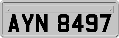 AYN8497