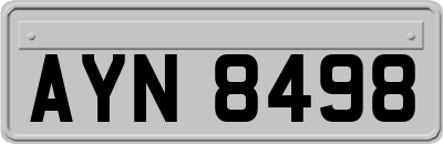 AYN8498