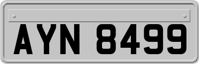 AYN8499