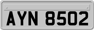 AYN8502