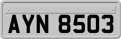 AYN8503