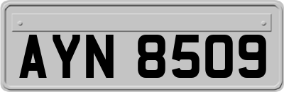 AYN8509