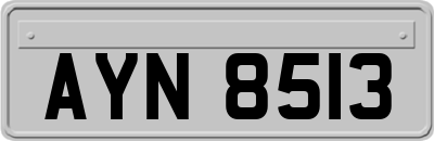 AYN8513