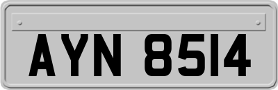 AYN8514