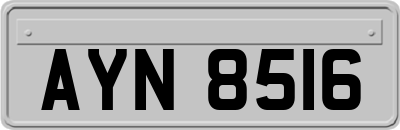 AYN8516