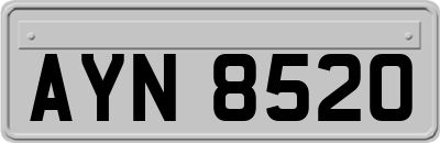 AYN8520