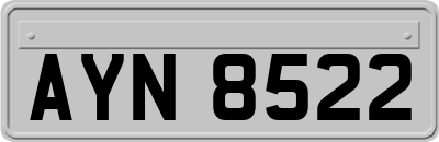 AYN8522