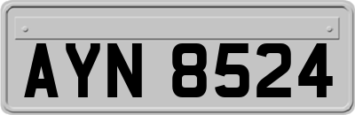 AYN8524