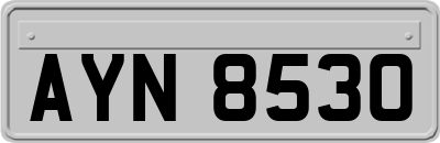 AYN8530