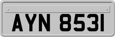 AYN8531