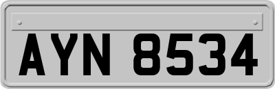 AYN8534