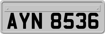 AYN8536