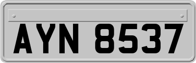 AYN8537