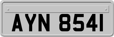AYN8541