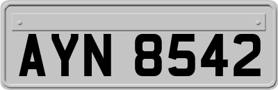 AYN8542