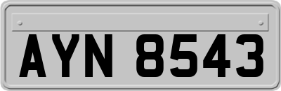 AYN8543