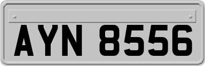 AYN8556