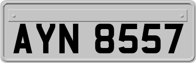 AYN8557