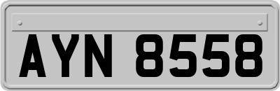 AYN8558