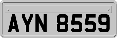 AYN8559