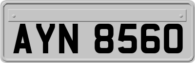 AYN8560