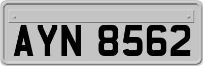 AYN8562