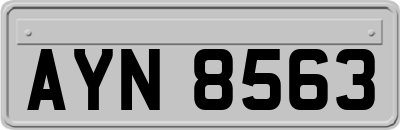AYN8563