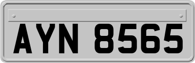 AYN8565