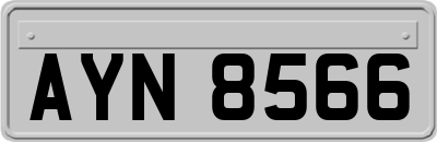 AYN8566