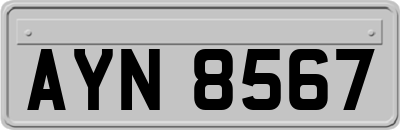 AYN8567
