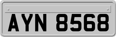 AYN8568
