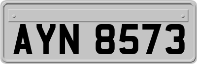 AYN8573