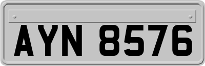 AYN8576