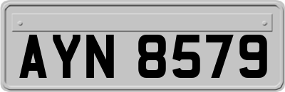 AYN8579