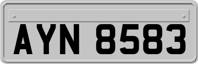 AYN8583