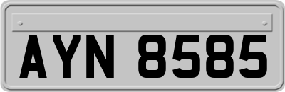 AYN8585