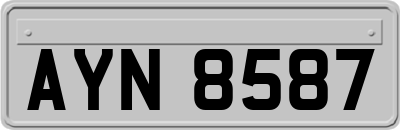 AYN8587