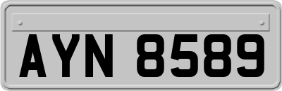 AYN8589