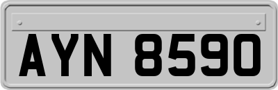 AYN8590