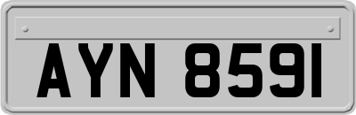 AYN8591