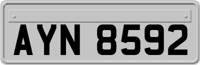 AYN8592