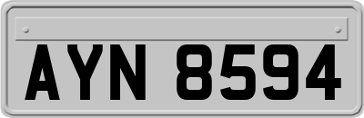 AYN8594