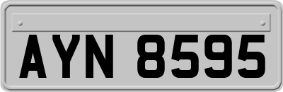 AYN8595